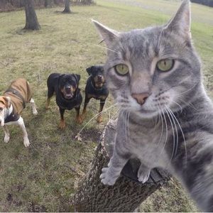 TRADE POST LIPPY SKULL JACKET